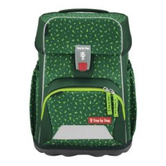 Step by Step Basis Set Green Graphics