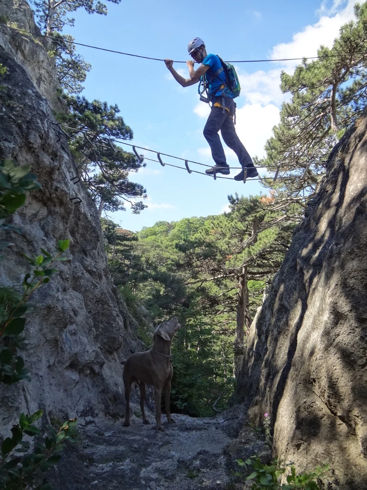 Klettersteige Österreich