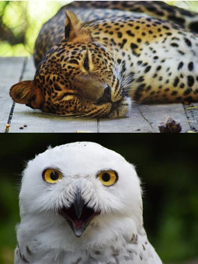 Zoo Brünn