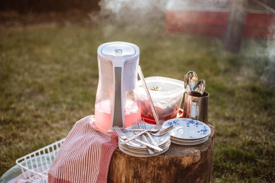 Picknick mit Freunden