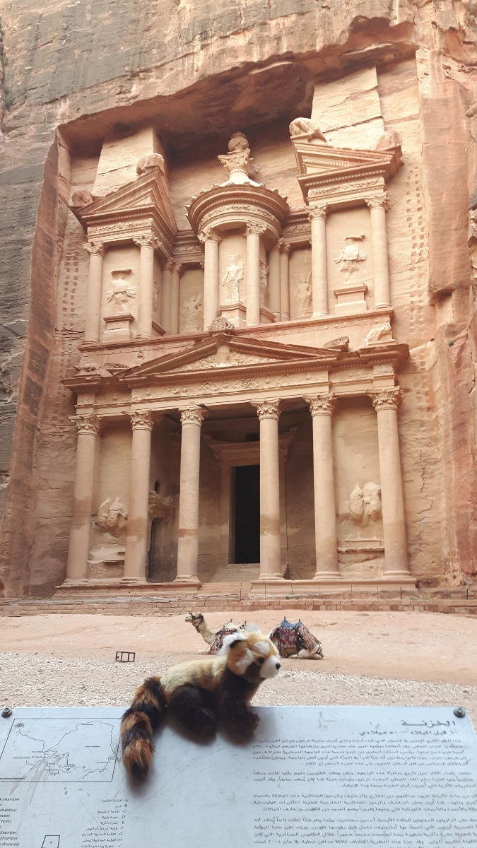 Panda in Jordanien