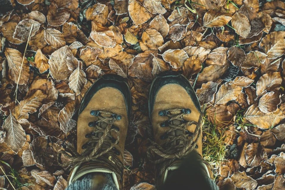 Wandern - Streifzug durch die Natur