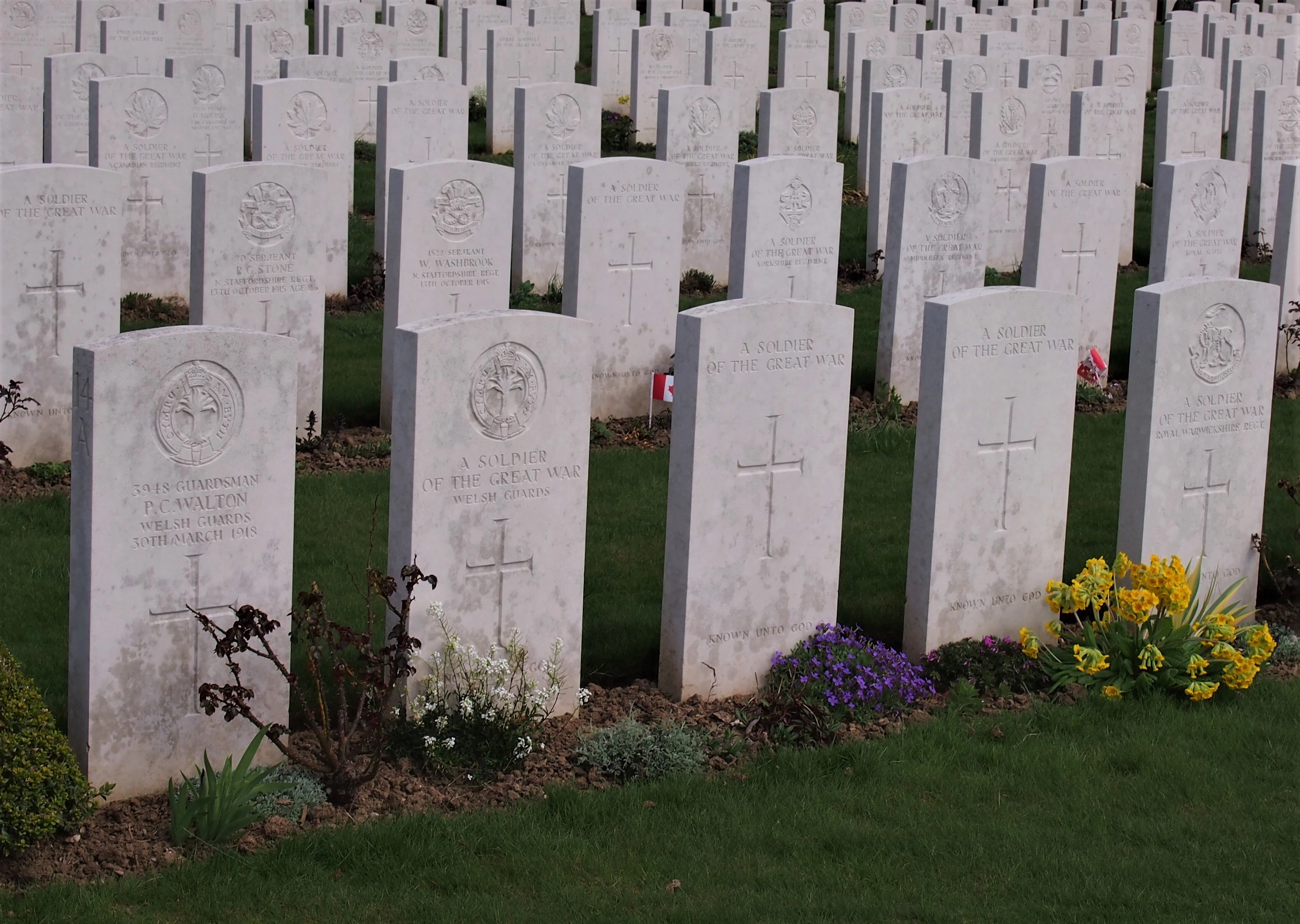 Friedhof mit weißen Steinen