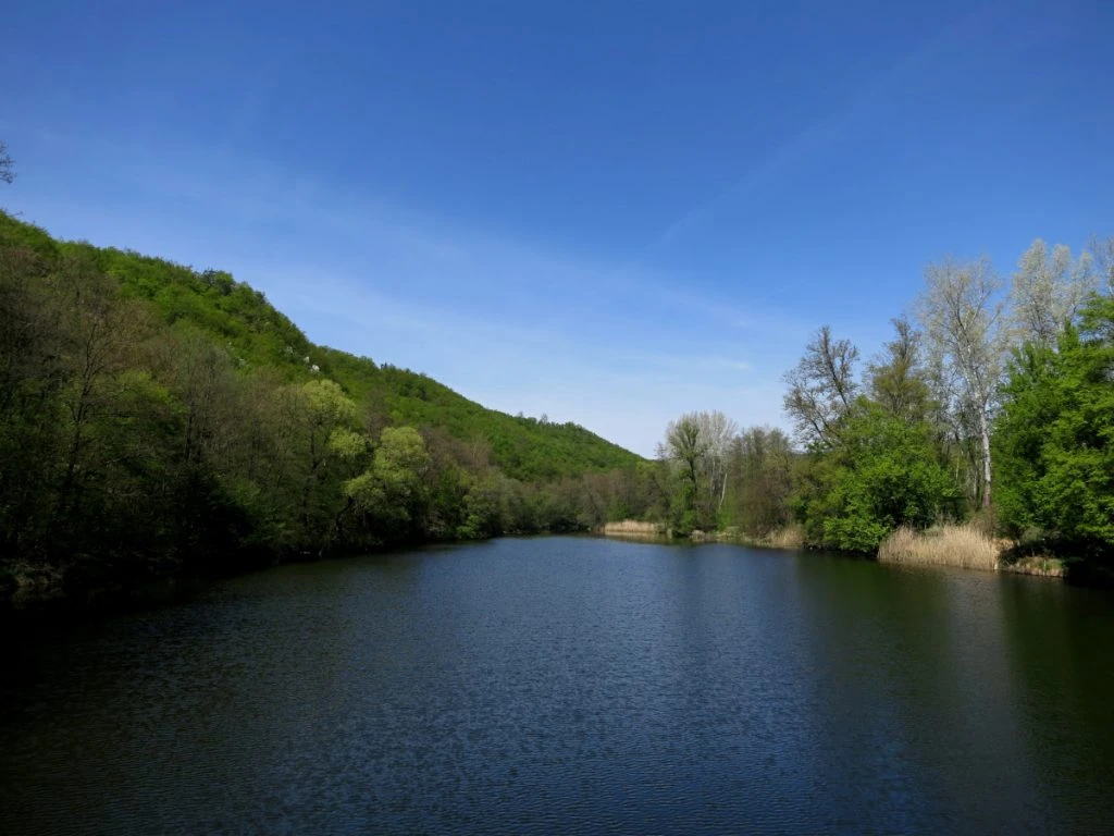Blick auf den Fluss Thaya