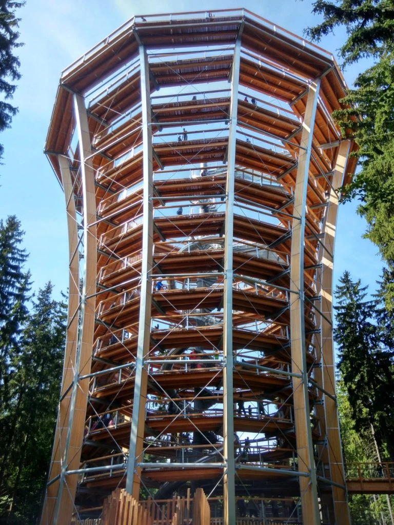 Baumwipfelpfad