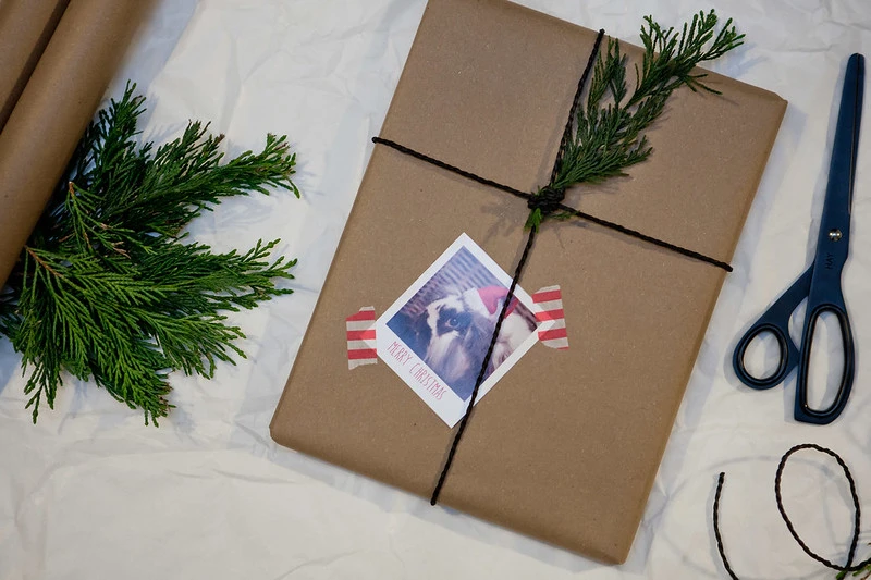 Zweige und Zapfen auf Geschenken